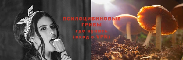 стафф Вяземский