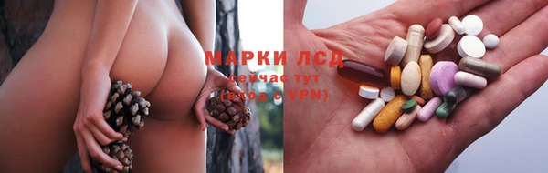стафф Вяземский